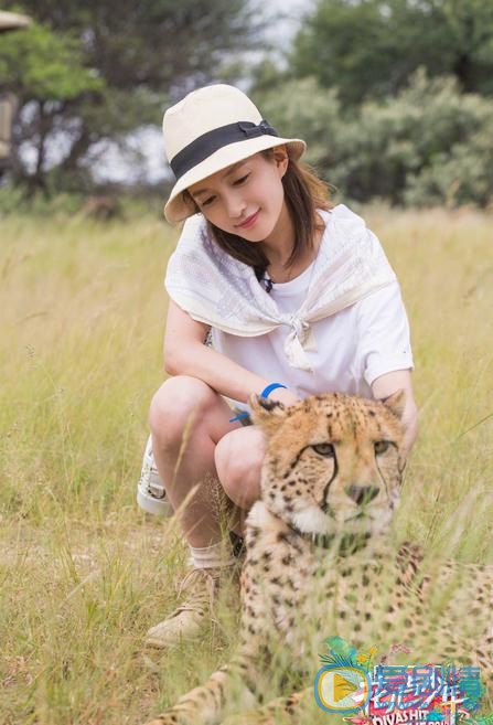 江疏影《花儿与少年》节目照 江疏影高清写真_江疏影高清剧照
