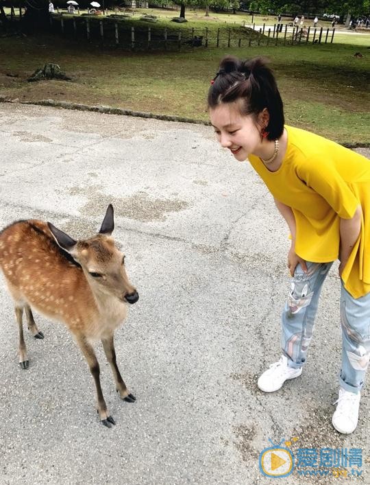 王鹤润旅游照 王鹤润高清写真_王鹤润高清剧照