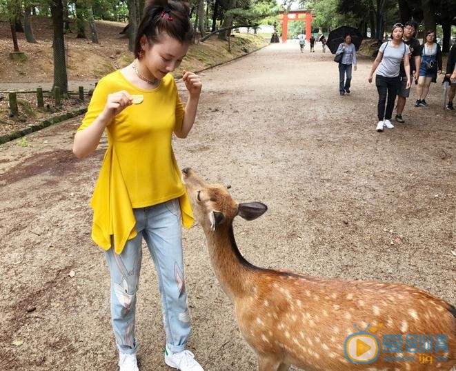 王鹤润旅游照 王鹤润高清写真_王鹤润高清剧照