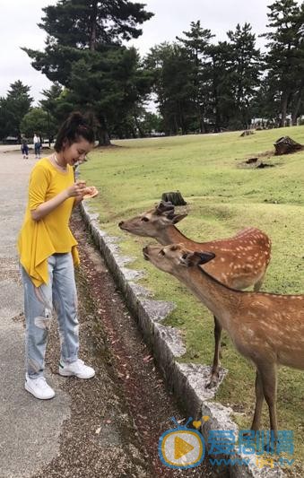 王鹤润旅游照 王鹤润高清写真_王鹤润高清剧照