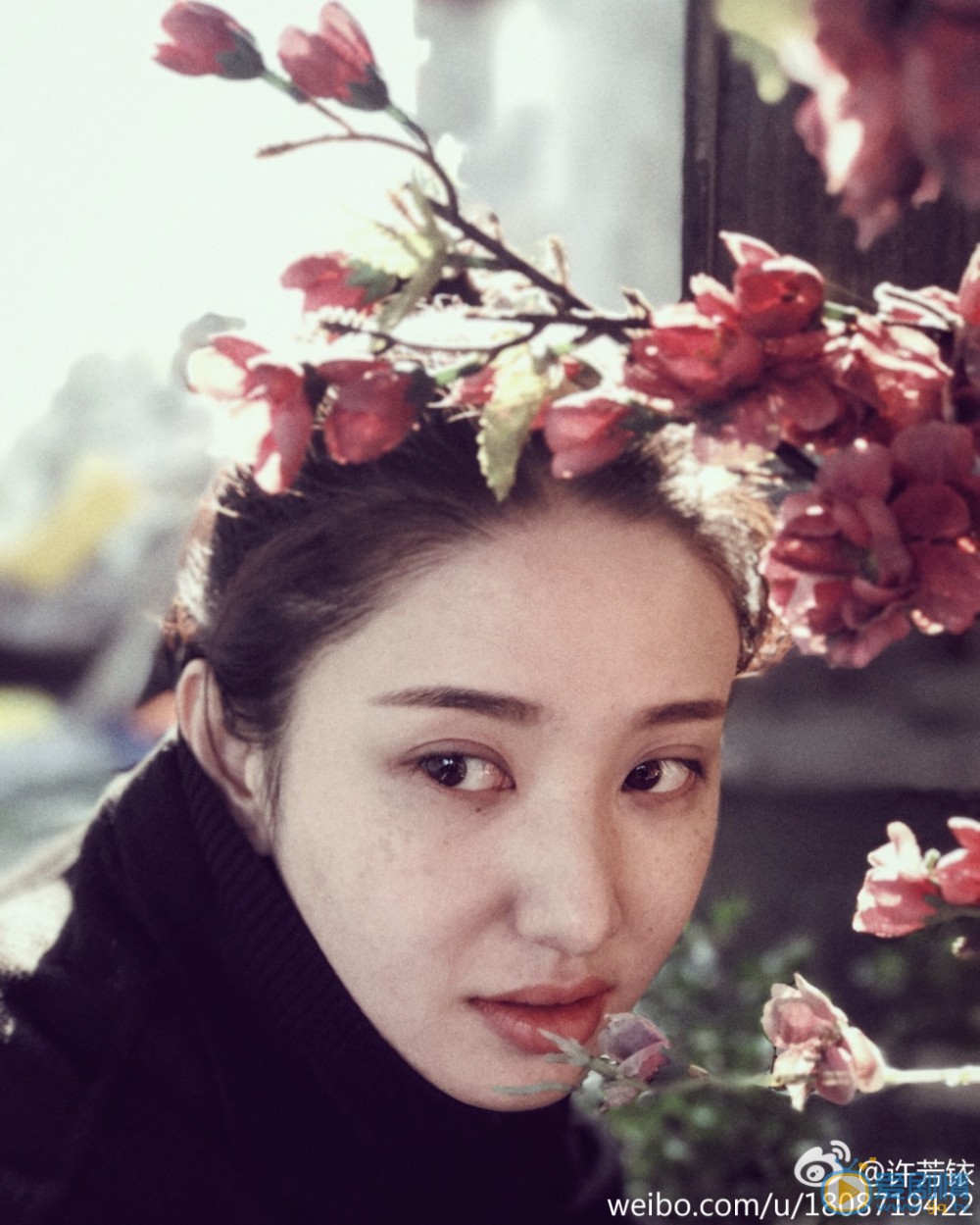 许芳铱街拍写真 许芳铱高清写真_许芳铱高清剧照