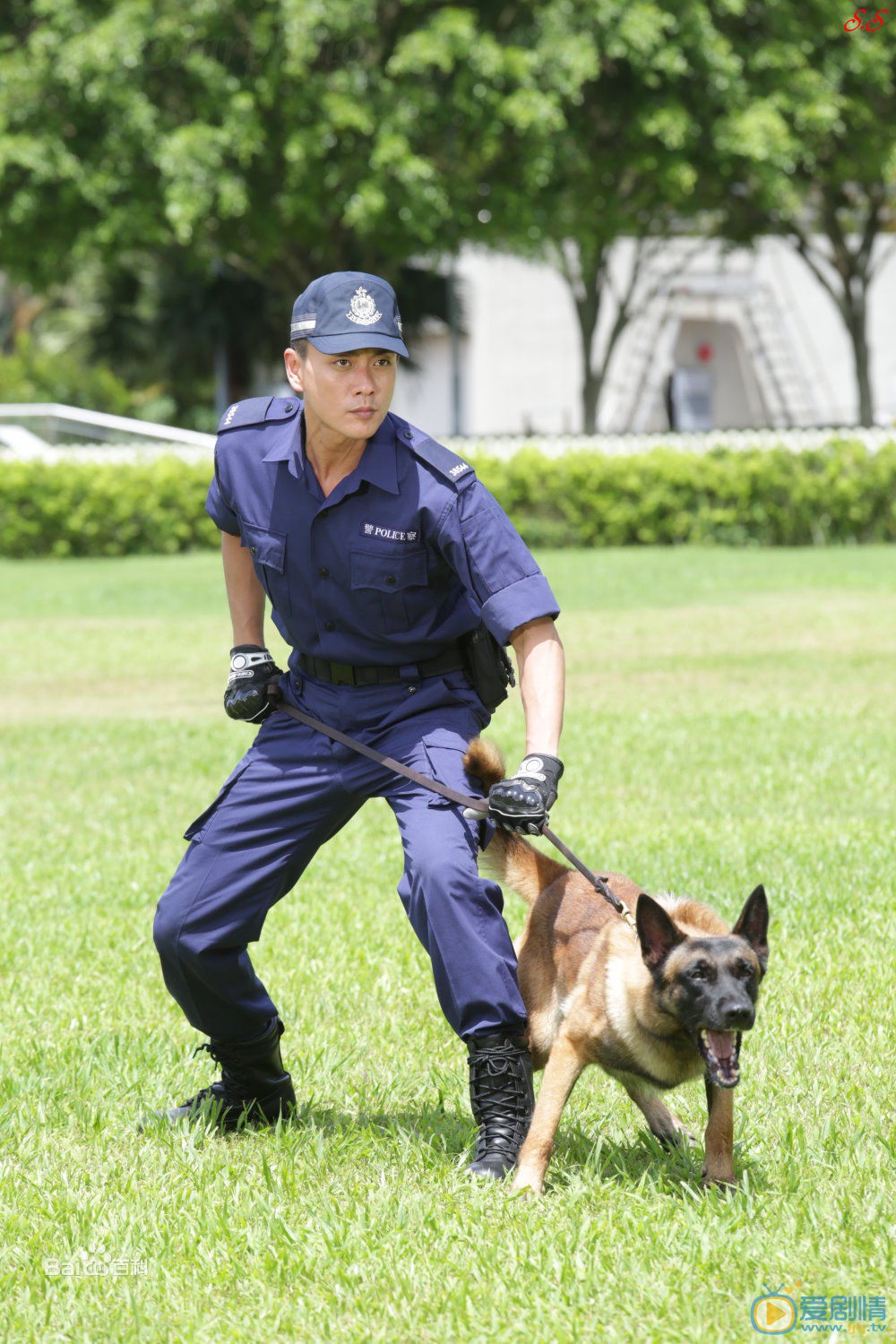 黄宗泽《警犬巴打》剧照 黄宗泽高清写真_黄宗泽高清剧照