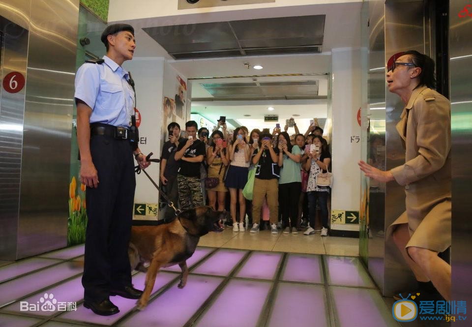 黄宗泽《警犬巴打》剧照 黄宗泽高清写真_黄宗泽高清剧照