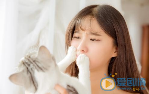 戚蓝尹写真《猫》 戚蓝尹高清写真_戚蓝尹高清剧照