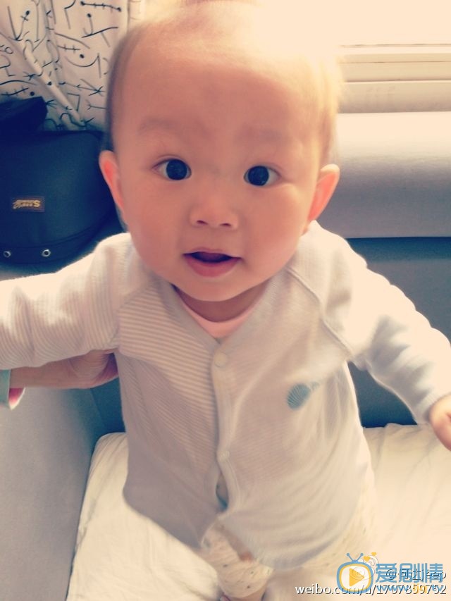 何达亲子照 何达高清写真_何达高清剧照