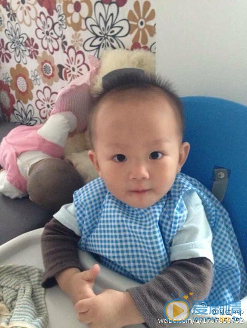 何达亲子照 何达高清写真_何达高清剧照