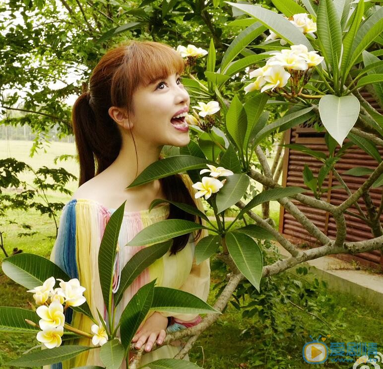葛天清纯写真 葛天高清写真_葛天高清剧照