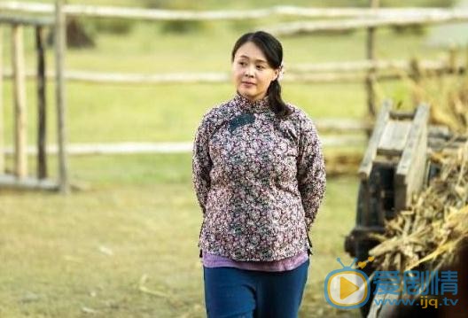 花儿与远方胡彩娥剧照 
