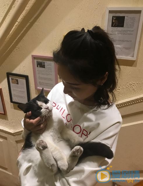 刘倩妤与宠物合照 刘倩妤高清写真_刘倩妤高清剧照