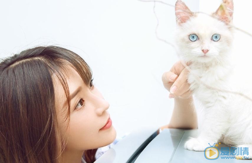 刘倩妤宠物写真 刘倩妤高清写真_刘倩妤高清剧照