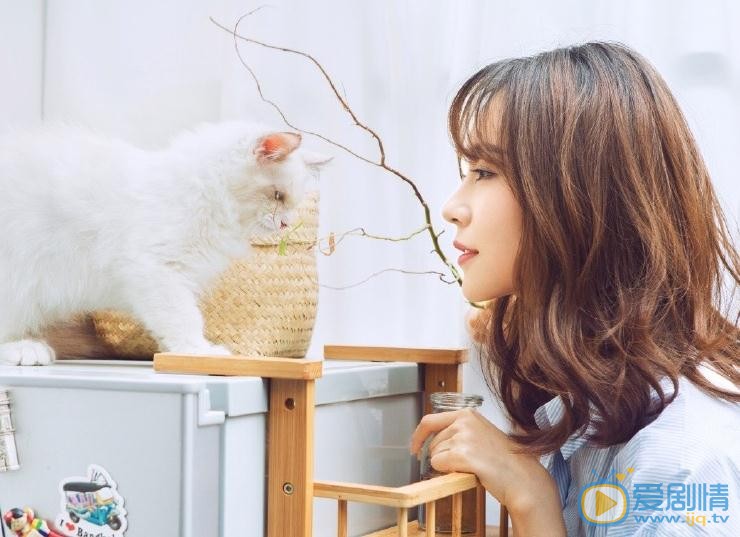 刘倩妤宠物写真 刘倩妤高清写真_刘倩妤高清剧照