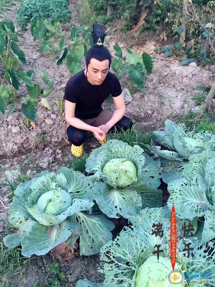 姚卓君片场照 姚卓君高清写真_姚卓君高清剧照