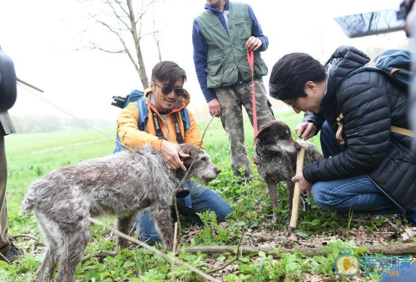 房祖名综艺节目照 房祖名高清写真_房祖名高清剧照
