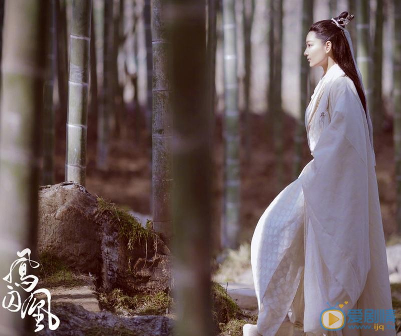 凤囚凰王意之剧照