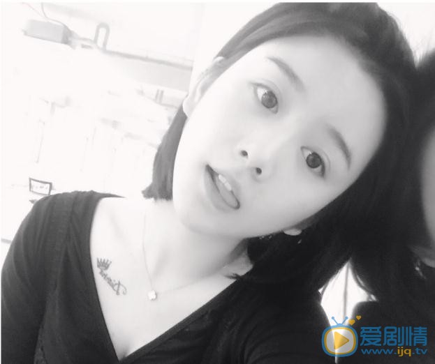 文竹可爱照 文竹高清写真_文竹高清剧照