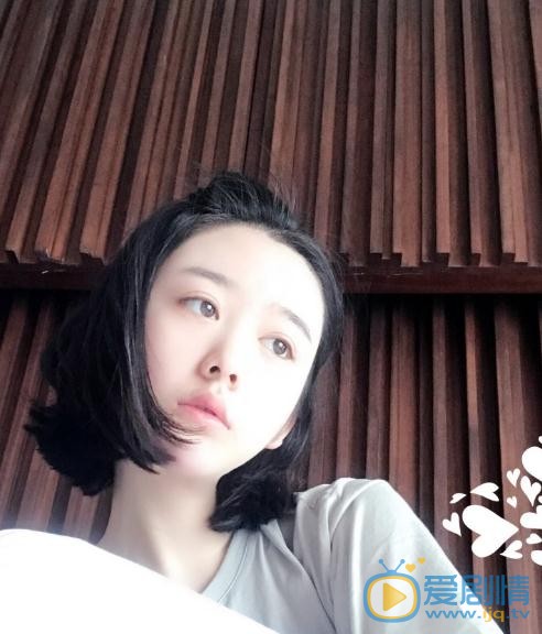 文竹生活照 文竹高清写真_文竹高清剧照