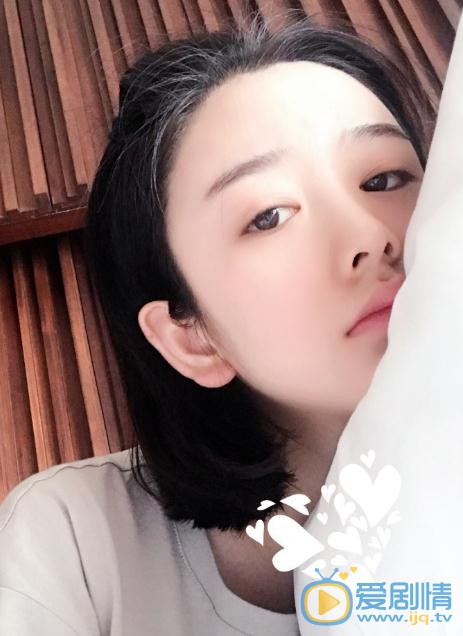 文竹生活照 文竹高清写真_文竹高清剧照