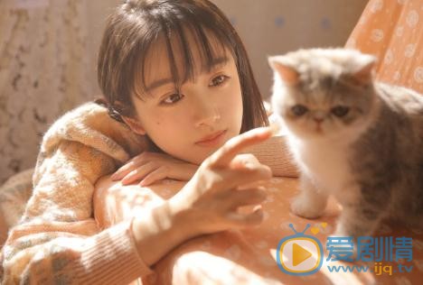 文竹恬静写真 文竹高清写真_文竹高清剧照