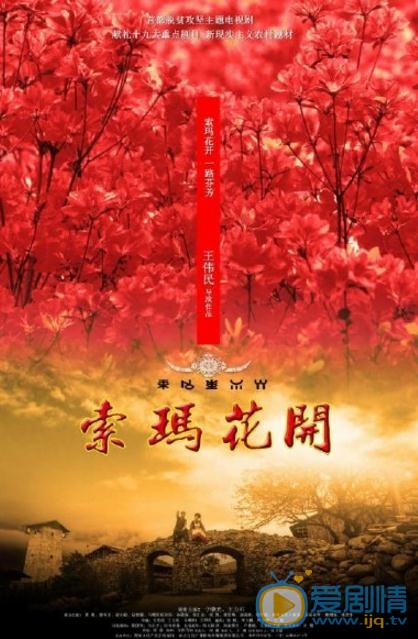 索玛花开剧情介绍