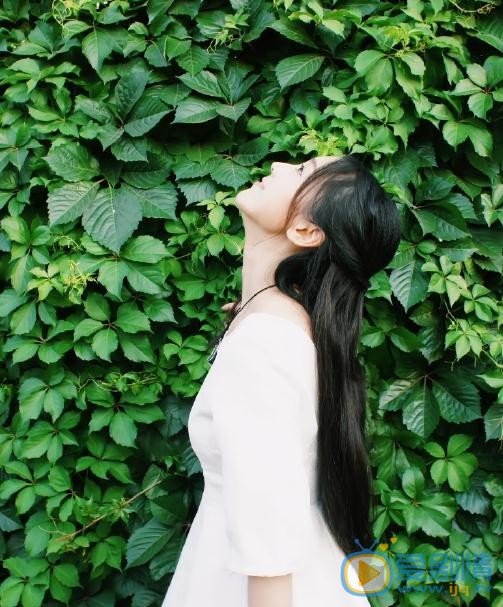 何花夏日写真 何花高清写真_何花高清剧照