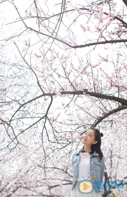 何花夏日写真 何花高清写真_何花高清剧照