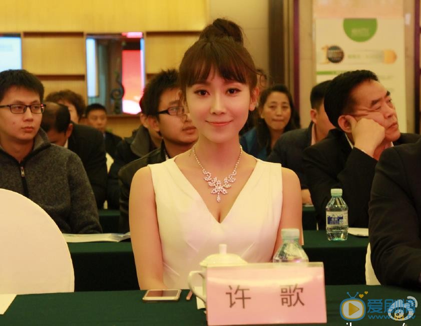 许歌活动照 许歌高清写真_许歌高清剧照