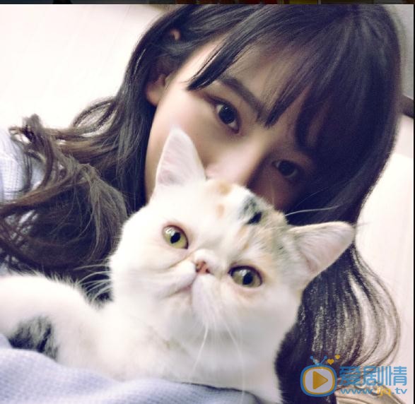韩昕妤清纯写真 韩昕妤高清写真_韩昕妤高清剧照