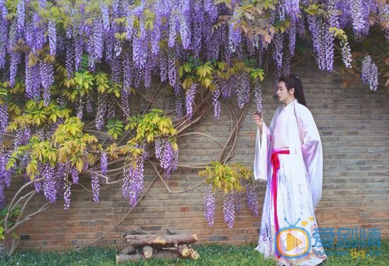 李孟羲白色写真 李孟羲高清写真_李孟羲高清剧照