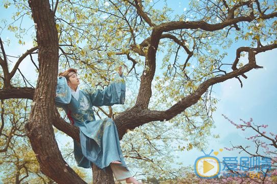 李孟羲桃花写真 李孟羲高清写真_李孟羲高清剧照