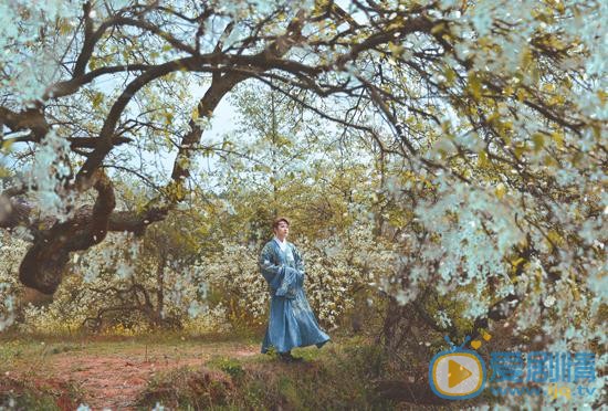 李孟羲桃花写真 李孟羲高清写真_李孟羲高清剧照
