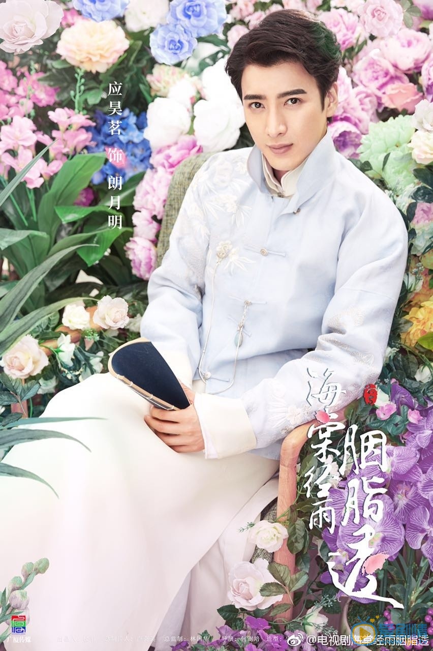 海棠经雨胭脂透朗月明剧照 