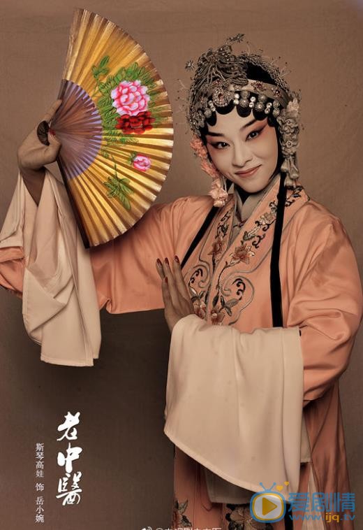 老中医岳小婉剧照