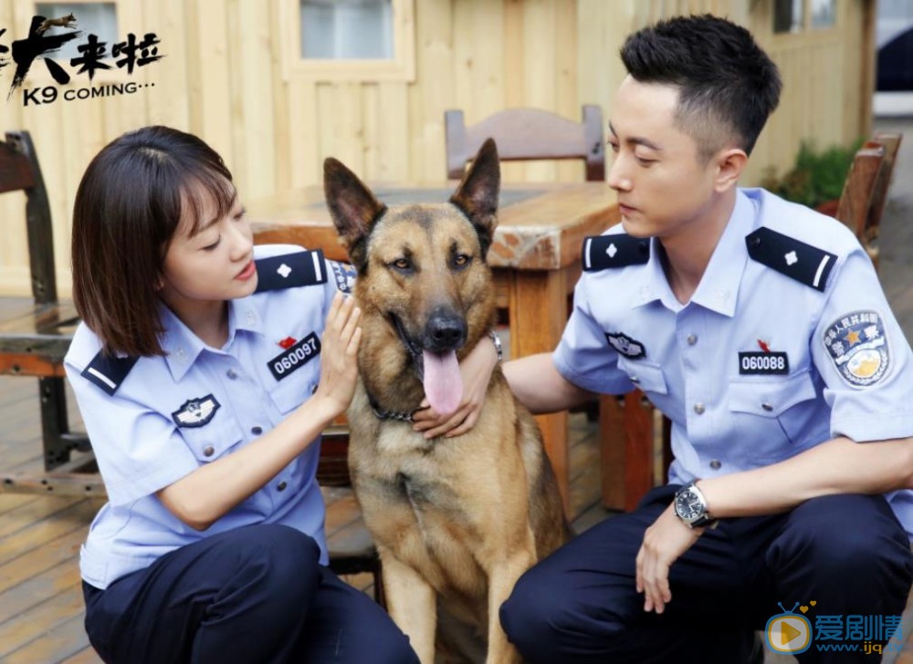 警犬来啦最新剧照_何木棉高清剧照