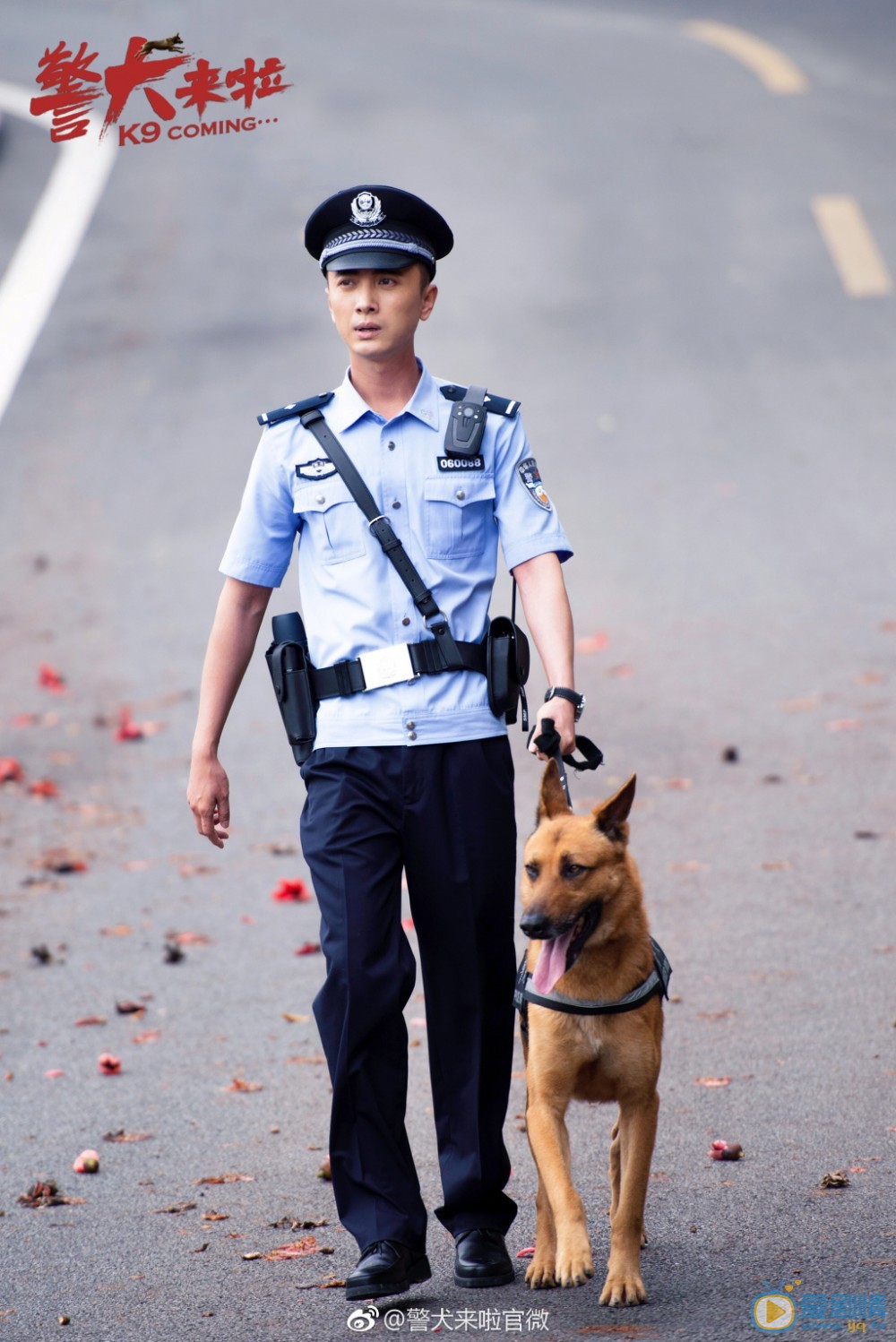 警犬来啦梁粤剧照 