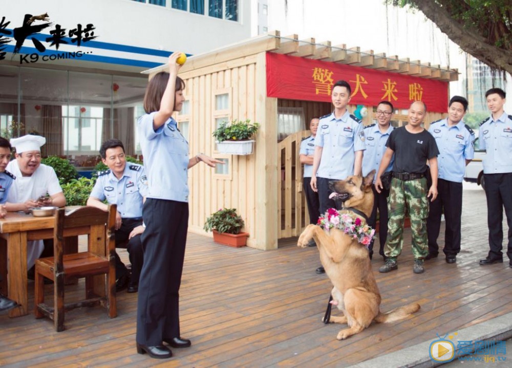 警犬来啦方宇阳剧照