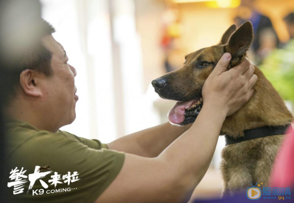 警犬来啦吴满福剧照 