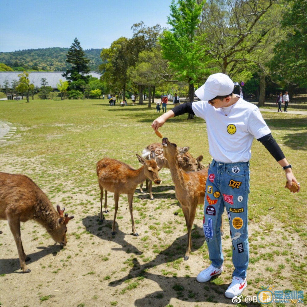 张大大旅行照写真 张大大高清写真_张大大高清剧照