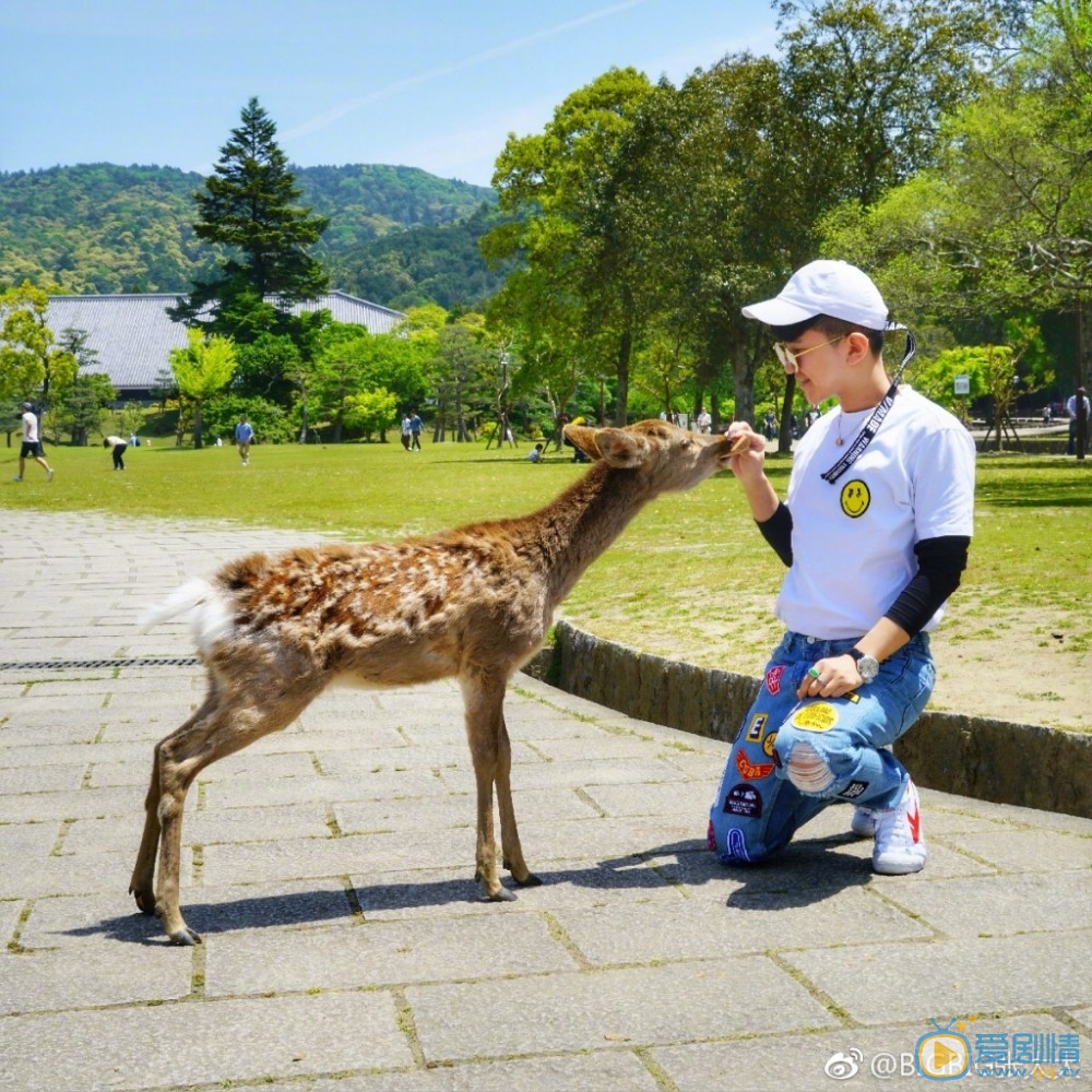 张大大旅行照写真 张大大高清写真_张大大高清剧照