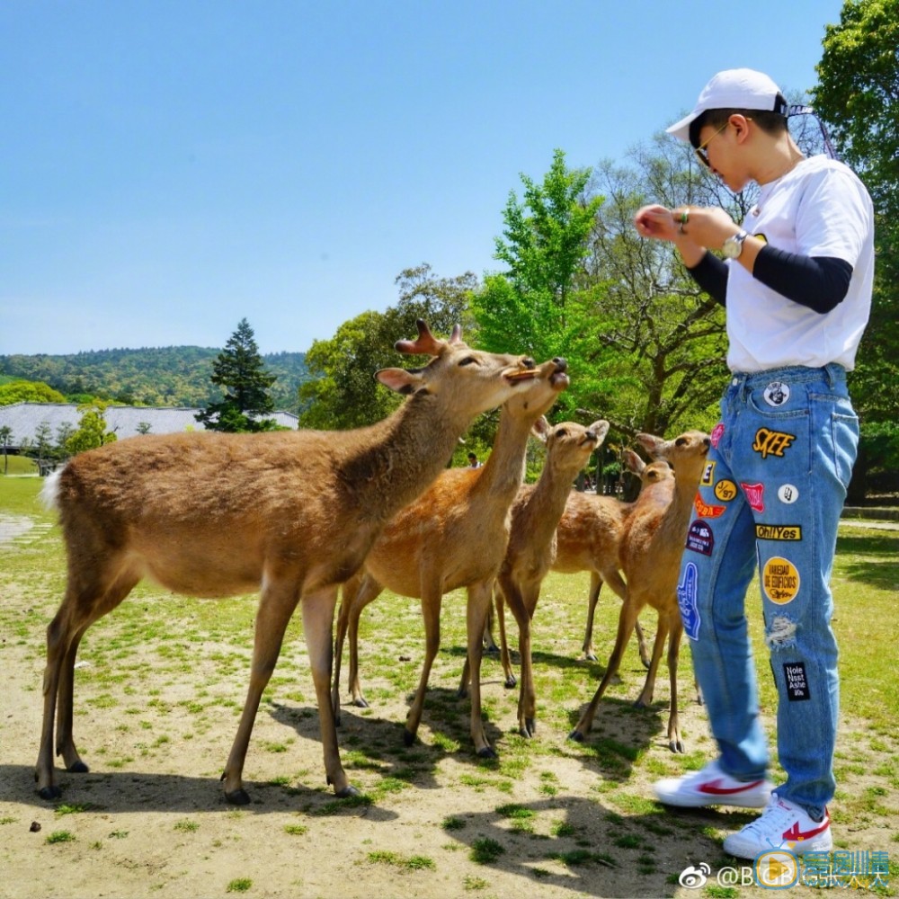 张大大旅行照写真 张大大高清写真_张大大高清剧照