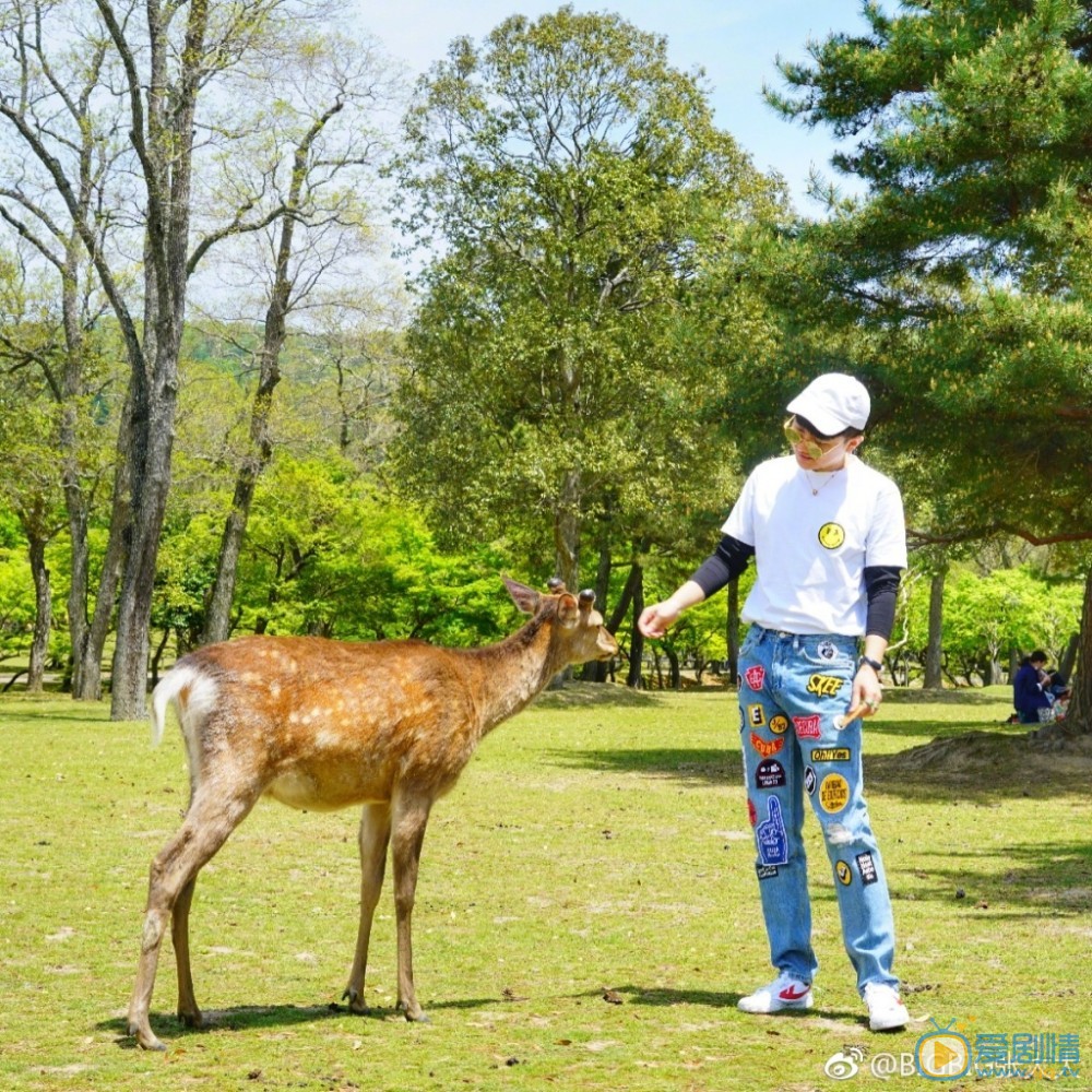 张大大旅行照写真 张大大高清写真_张大大高清剧照