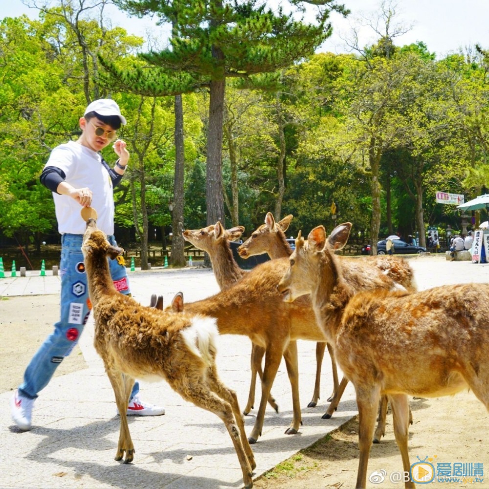 张大大旅行照写真 张大大高清写真_张大大高清剧照