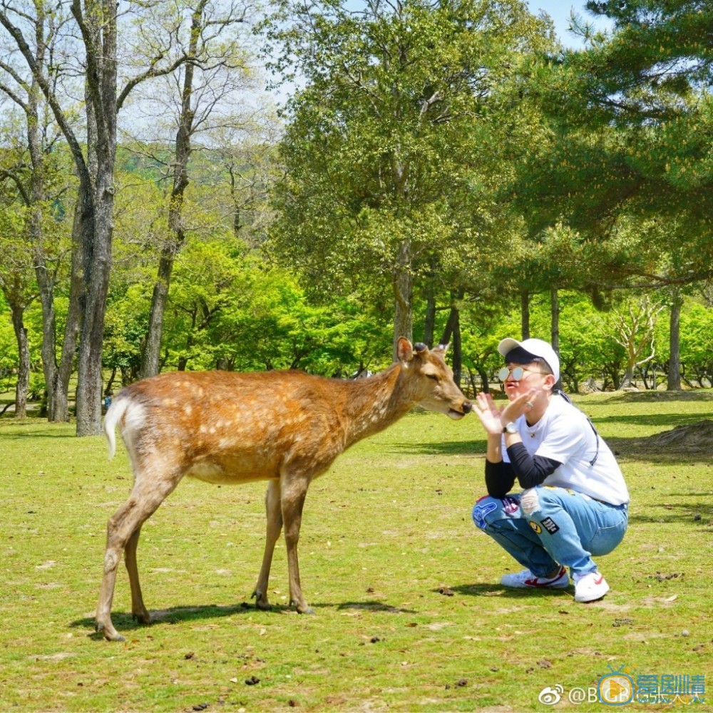 张大大旅行照写真 张大大高清写真_张大大高清剧照
