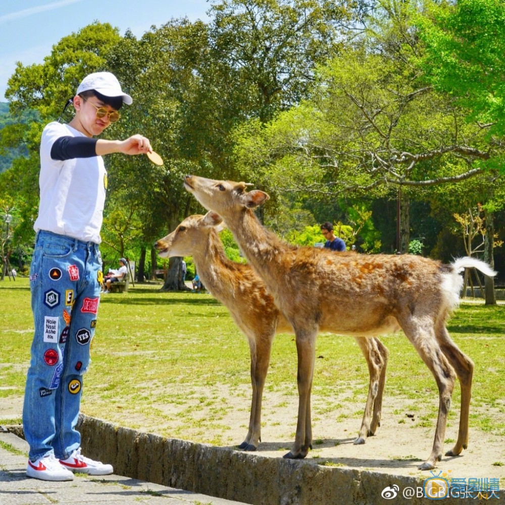 张大大旅行照写真 张大大旅行写真