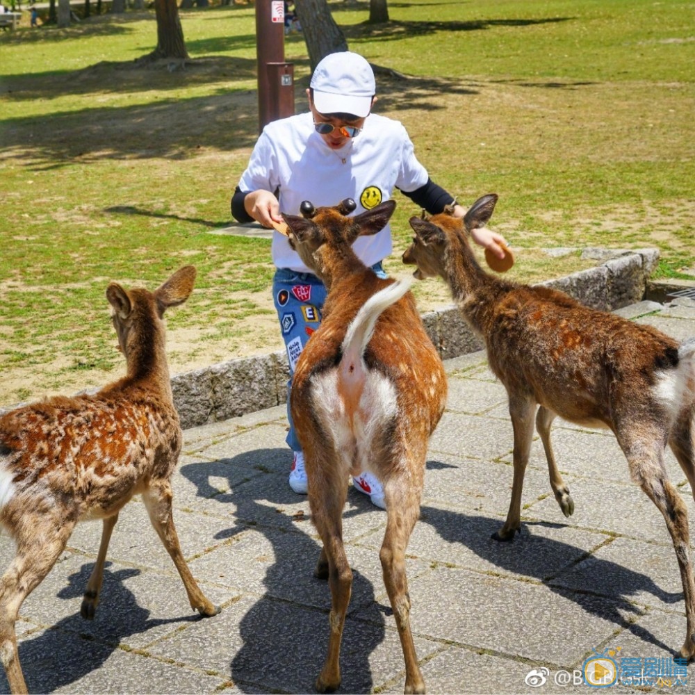 张大大旅行照写真 张大大高清写真_张大大高清剧照