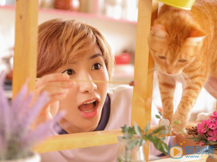 洪冰瑶清纯写真 洪冰瑶高清写真_洪冰瑶高清剧照