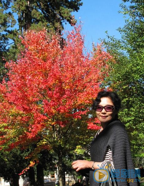 杨青生活照 杨青高清写真_杨青高清剧照