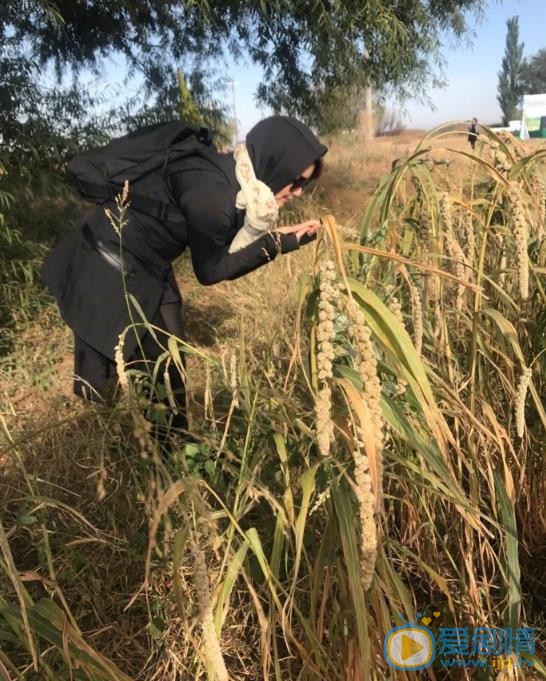 袁立公益慈善活动 袁立高清写真_袁立高清剧照