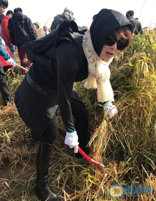 袁立公益慈善活动 袁立高清写真_袁立高清剧照