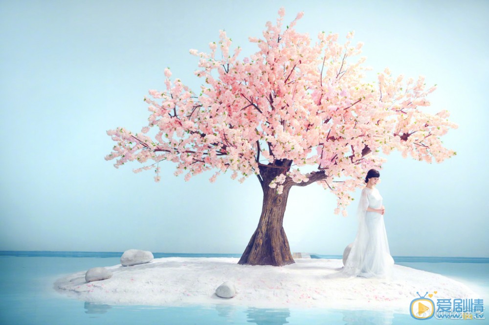 赵雅芝清纯写真 赵雅芝高清写真_赵雅芝高清剧照