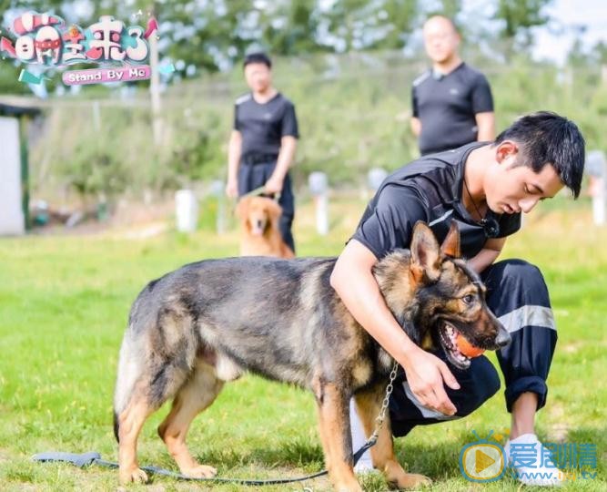 张继科参加活动写真 张继科高清写真_张继科高清剧照